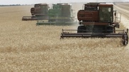Kazakhstan starts grain harvesting