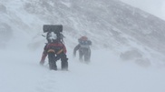 International expedition found signs of life on K2