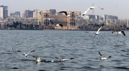 The Caspian Sea got on the list of “irreplaceable” ecosystems of the world 
