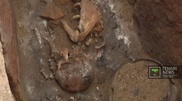Two-meter skeleton of Bronze Age chieftain found near Lisakovsk