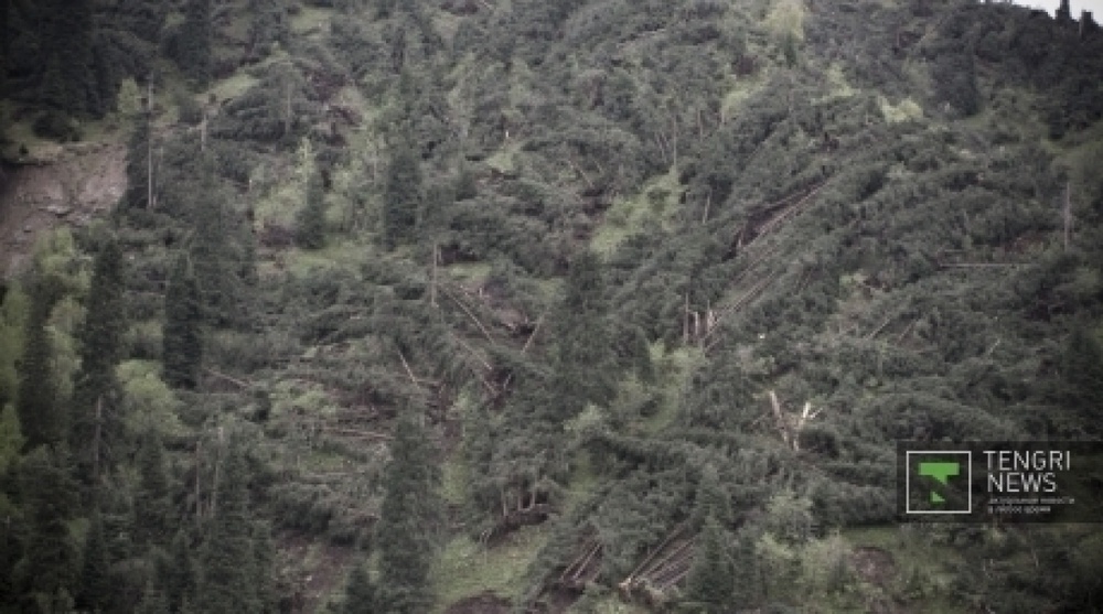 Scientist forecasted regular storms in Almaty