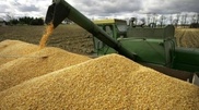 Kazakhstan raises grain harvest estimates once again