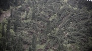 Mountain slopes left absolutely treeless by the storms of May 17 and June 27 pose serious threat to Almaty: Mayor