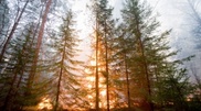 Fire in East Kazakhstan moving towards China