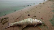 Toxic waste spilled into east Kazakhstan river