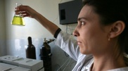 Ecologists to estimate pollution of East Kazakhstan rivers with cyanides within 10 days