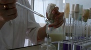 Toxicomany inspection is part of U.S. teacher murder case in Shymkent