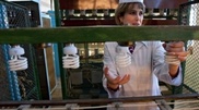Production and sale of incandescent electric lamps to be banned in Kazakhstan on July 1