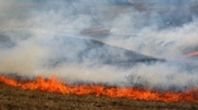 Fire swept through 750 hectares of grassland in Western Kazakhstan