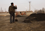 China starts stockpiling rare earths: report 