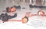 Seven headless bodies found in central Mexico 