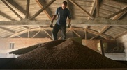 Kazakhstan won’t introduce ban on grain exports despite drought