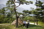 N. Korea allows S. Korea executives to visit resort 