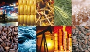 Commodity prices mostly fall on lack of stimulus measures 