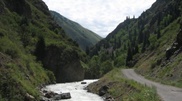 7 corpses discovered in forest near Almaty