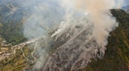 Mamytbekov doesn't link fire in Ile-Alatau national park with fallen trees