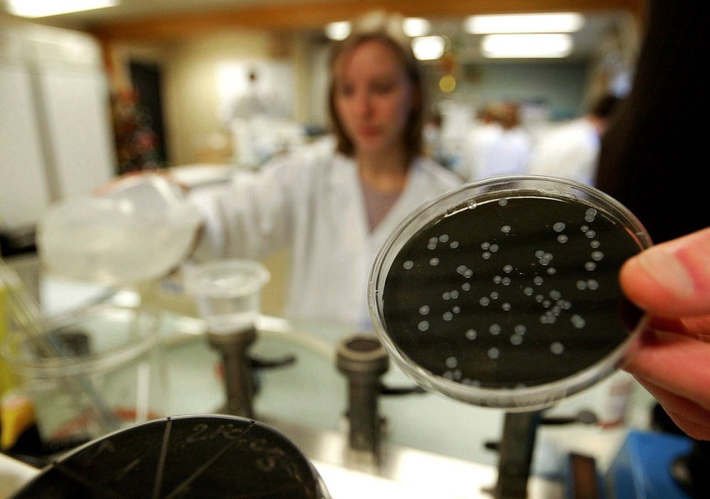 6 dead in Quebec Legionnaire's disease outbreak 