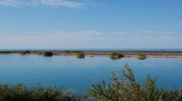 Kazakhstan wants Alakol lake in UNESCO Biosphere Reserves