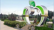 Almaty got a just married installation
