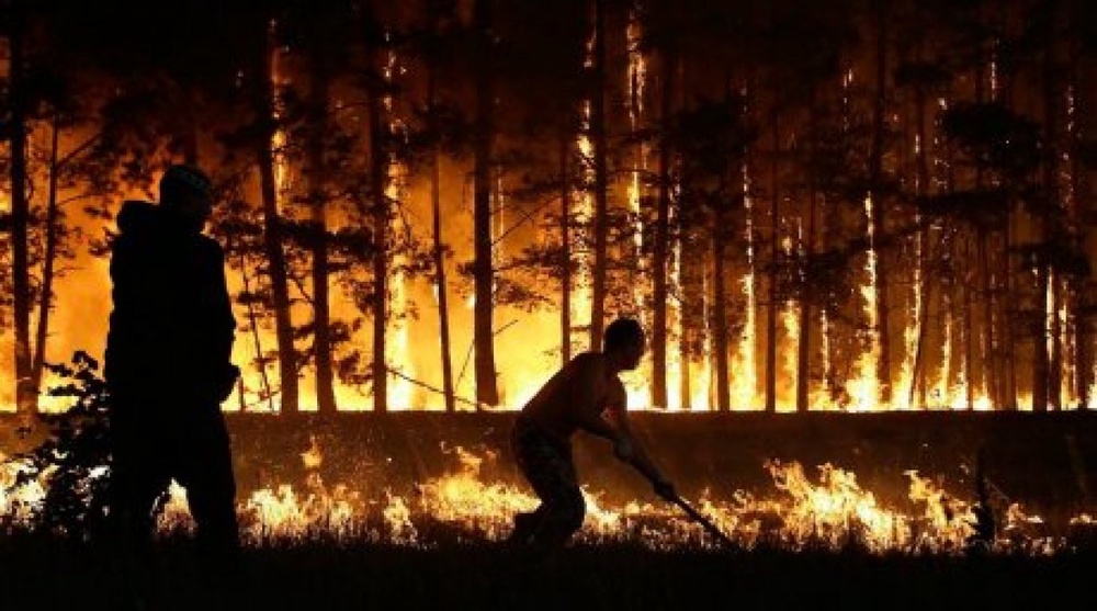 40 hectares on fire in Almaty oblast mountains