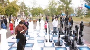 Pavlodar citizens competed in intellectual games on City Day