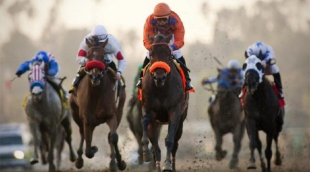 Horse smashed in a car during race in East Kazakhstan