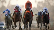 Horse smashed in a car during race in East Kazakhstan