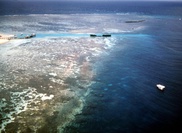 Australia admits neglect of Great Barrier Reef 