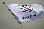 Economic minnow Laos set to join WTO club 