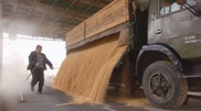 Kazakhstan harvested 12 million tons of grain