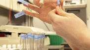 Kazakhstan is working towards national anti-doping organization