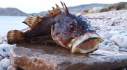 Fisherman caught rockfish in Kapchagay lake near Almaty