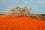 Man dies of thirst in Australian Outback 
