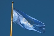 Palestinian UN bid on Nov 29: Abbas 