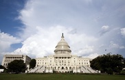 White men to head all committees in US House 