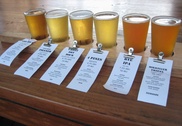 Beer is good for you: study finds anti-virus powers 