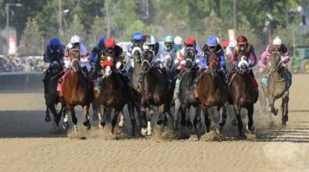 Best racehorses chosen in Kazakhstan