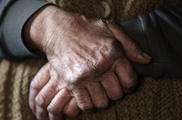 Fists came first for hand evolution, scientists suggest 
