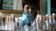 3 pregnant women diagnosed with H1N1 in Kazakhstan