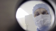 Healthcare Ministry refuted information on swine flu in South Kazakhstan 