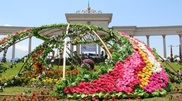 Almaty will see more flowers this summer