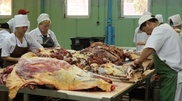 Kazakhstan will 100% supply itself with food