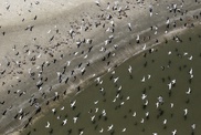 BP reaches $7.8 bln partial settlement in US oil spill trial