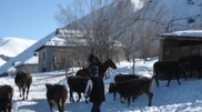 Mobile pharmacies will reach remote areas of east Kazakhstan
