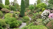 Astana will have its own Botanic Garden