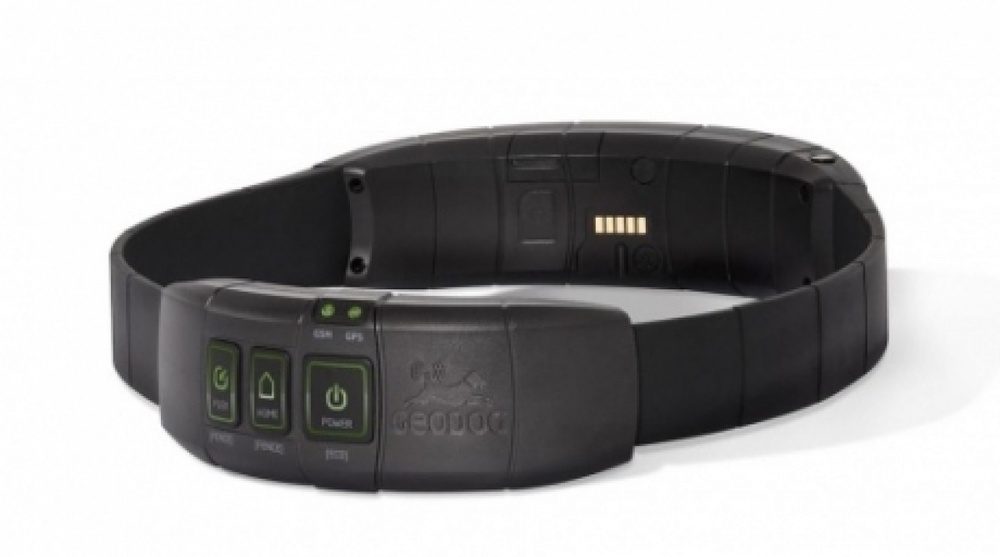 Uralsk controllers are made to wear electronic collars