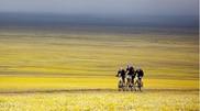Gazelle Trophy will be held in Almaty mountains