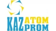 Kazakhstani-Japanese JV SARECO to produce rare and rare earth metals in H2 2012
