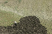 US study says El Nino, climate change link fuzzy 