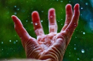 Science gets a grip on finger wrinkles 